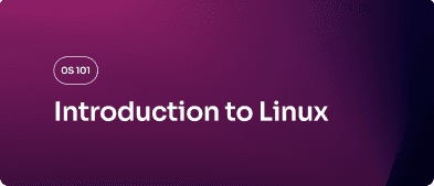 Illustration Sabilink du curriculum OS 101